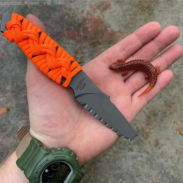 MPD-TI